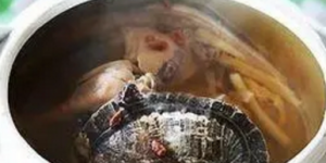鹰嘴龟的吃法与做法