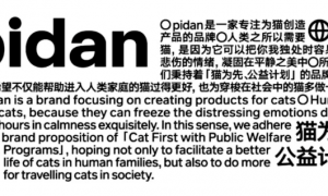 6轮融资，5亿营收！宠物品牌Pidan从爆品到全品类做对了什么？