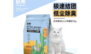 跃希猫砂：一款铲屎官很爱的猫砂