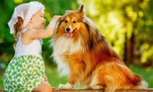 ADM宠物营养丨SANPO珍宝品牌全新升级