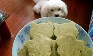 狗能吃绿豆糕吗