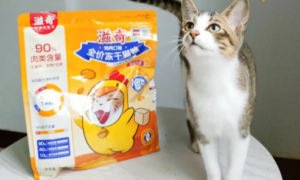 滋奇猫粮，对肠胃敏感的猫咪超友好