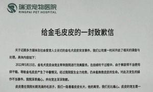 深圳一宠物医院员工操作不当致宠物死亡，医院：已达成协商