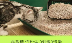 奇偌猫砂效果怎么样