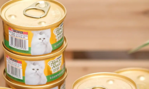 在海外“杀疯了”的珍致猫主食罐，今日在中国上市