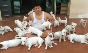男子一口气养了20只狗，从小跟他一起睡，结果找不到对象了