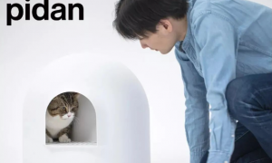 pidan|从宠物用品到全宠品类的品牌转型之路【汤臣杰逊品牌研究院】