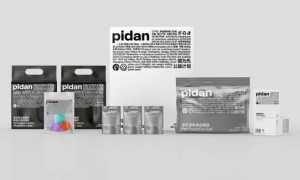 pidan马文飞：审美统一是品牌效率的起始点｜公司研究No.38