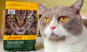 优思佳猫粮可以长期食用吗