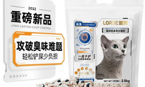 PIIS新品日报丨LORDE里兜推出新品猫砂，创新添加除臭小黑核颗粒
