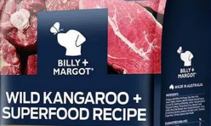 进口狗粮如何选？这款英国皇室推荐的Billy+Margot比利玛格千万别错过！