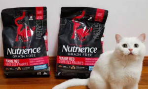 回购了最多次的猫粮，纽翠斯真的是天选猫粮