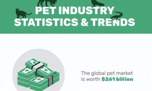 全球千亿级宠物消费市场，宠物经济是一门好生意吗？
