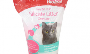bioline猫砂，为猫咪提供舒适与健康