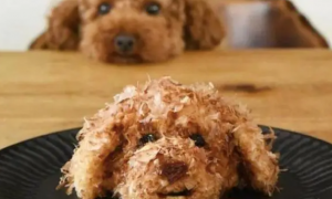 网友做了和泰迪造型一模一样的饭团，狗子是一脸懵逼：你是魔鬼吗