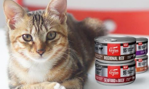 猫罐头哪个品牌的比较好？原始猎食渴望猫罐头系列给你答案