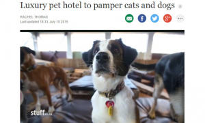 新西兰汉密尔顿豪华宠物酒店 宠物享受到顶级的服务