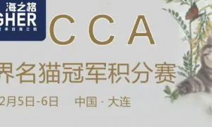 特别报道｜冬日热情 海之格赞助CCA世界名猫冠军积分赛