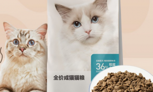 养只宠物猫粮价格贵吗？