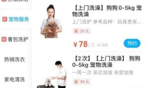 盒马推出宠物洗澡、美容服务，上海13家门店首批上线