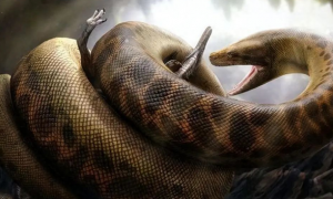 地球上最大的蛇有多大？秦岭曾出现过“盘山巨蟒”，是真的吗？