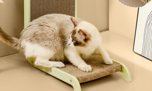 D-cat多可特猫抓板：守护你的沙发，告别猫爪的“小破坏”