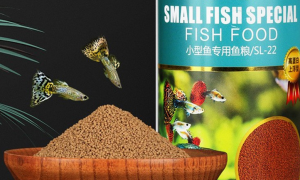 SUNSUN森森鱼饲料：金鱼锦鲤的最佳美食，让你的观赏鱼健康又快乐
