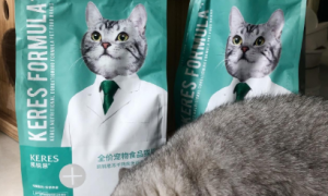 凯锐思猫粮：营养丰富，安全可靠的猫粮品牌