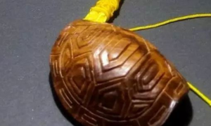 乌龟壳的雕刻方法