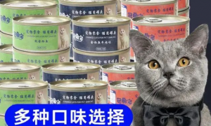 猫粮哪个牌子好，冠萌宠猫罐头，金枪鱼肉的美味诱惑！