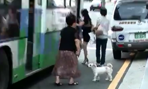 韩国，狗狗每天站在车站等待主人归来，好心人助力它和主人在一起
