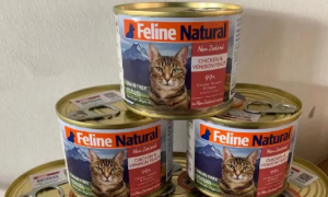 罐头测评28——K9 Feline Natural系列主食罐
