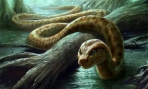 十大传说巨蛇