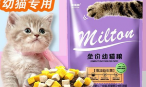 米尔顿猫粮在哪买