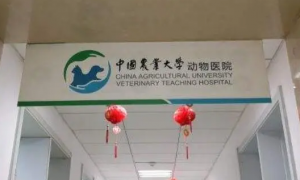 中国农业大学动物医院