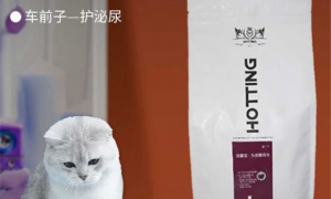 霍丁猫粮是天然粮吗