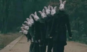 10只兔子恐怖照片