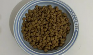 米尔顿猫粮质量