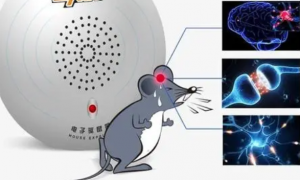 超声波驱鼠器真的有用吗