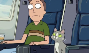 瑞克和莫蒂第四季第四集猫的记忆