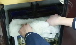 鱼缸过滤棉如何正确清洗