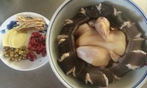蛇肉和什么煲汤最好