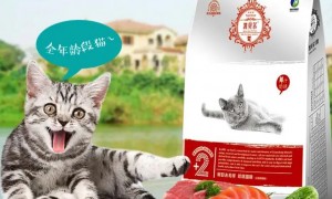 凯贝尔猫粮属于什么档次的品牌