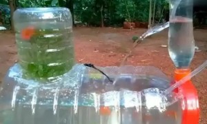 一个瓶子做循环水养鱼