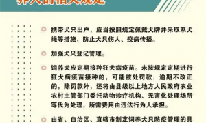 深圳市养犬管理条例