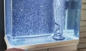 鱼缸制氧机图片