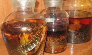 蛇油泡酒有什么功效和作用