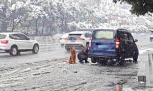 雪天汽车坏了主人在修，让狗狗坐在他旁边等着！狗：我是警示牌？