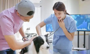 上海阿姨有子女却立遗嘱把3套房赠予宠物医院 这样的遗嘱有效吗？