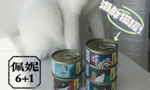 佩妮6+1猫罐头好吃吗